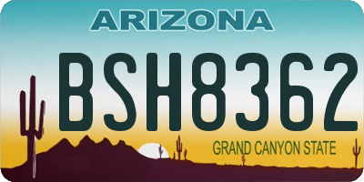 AZ license plate BSH8362