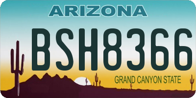 AZ license plate BSH8366