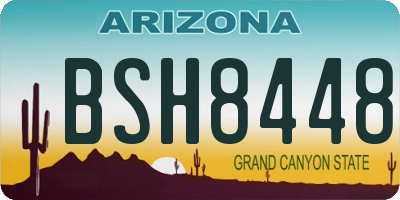 AZ license plate BSH8448