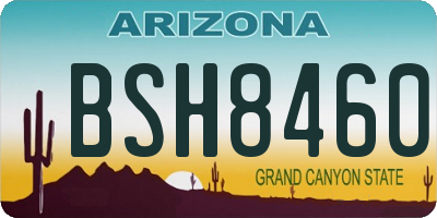 AZ license plate BSH8460