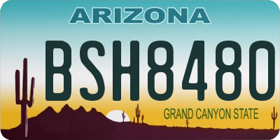 AZ license plate BSH8480