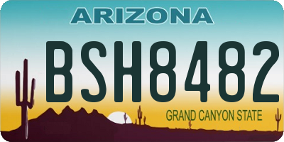 AZ license plate BSH8482