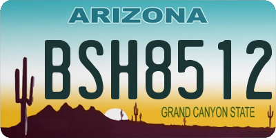 AZ license plate BSH8512