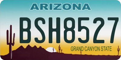 AZ license plate BSH8527