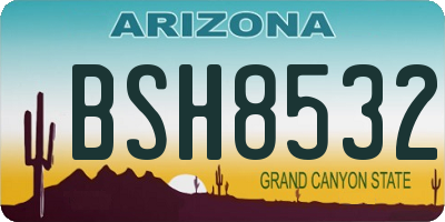 AZ license plate BSH8532