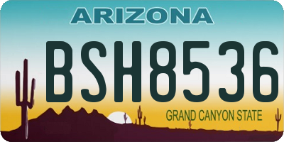 AZ license plate BSH8536