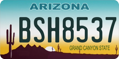 AZ license plate BSH8537
