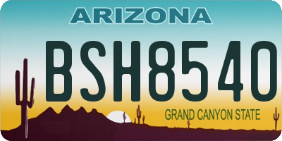 AZ license plate BSH8540