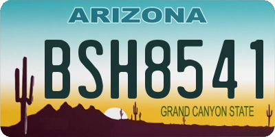 AZ license plate BSH8541