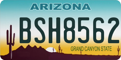 AZ license plate BSH8562