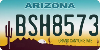 AZ license plate BSH8573