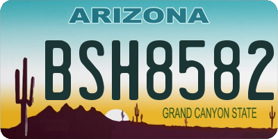 AZ license plate BSH8582