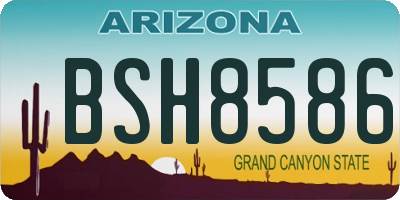 AZ license plate BSH8586