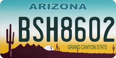 AZ license plate BSH8602