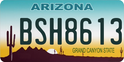 AZ license plate BSH8613