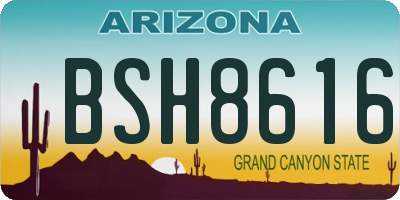 AZ license plate BSH8616