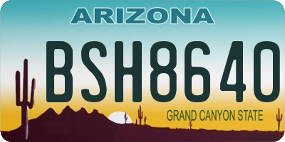 AZ license plate BSH8640