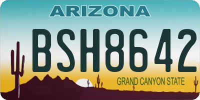 AZ license plate BSH8642