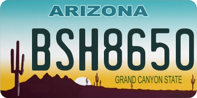 AZ license plate BSH8650