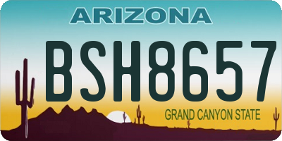 AZ license plate BSH8657