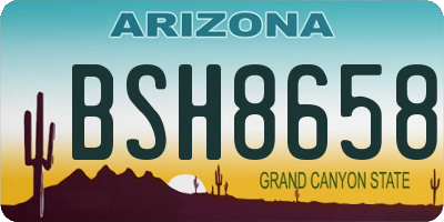 AZ license plate BSH8658