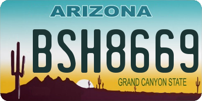 AZ license plate BSH8669