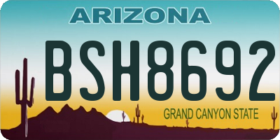 AZ license plate BSH8692