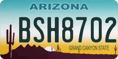 AZ license plate BSH8702