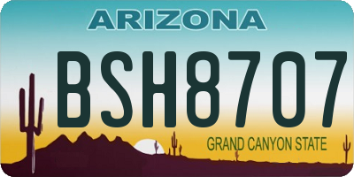 AZ license plate BSH8707