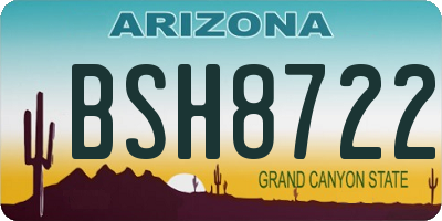AZ license plate BSH8722