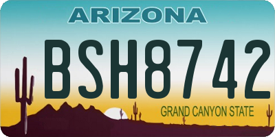 AZ license plate BSH8742
