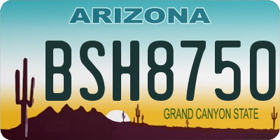 AZ license plate BSH8750