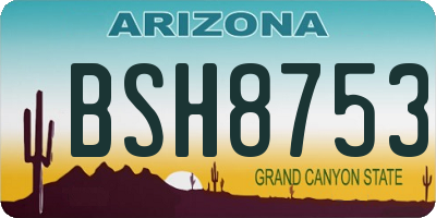 AZ license plate BSH8753