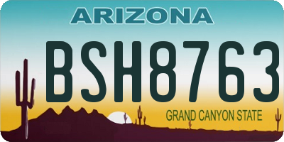 AZ license plate BSH8763