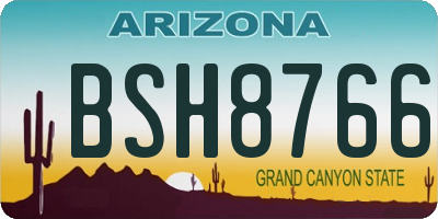 AZ license plate BSH8766