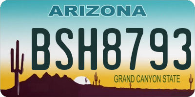 AZ license plate BSH8793