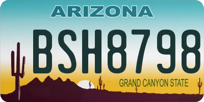 AZ license plate BSH8798