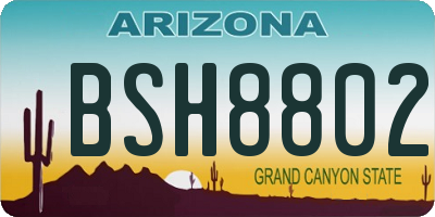 AZ license plate BSH8802