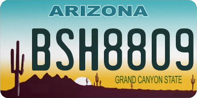 AZ license plate BSH8809