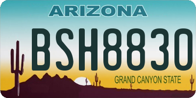 AZ license plate BSH8830