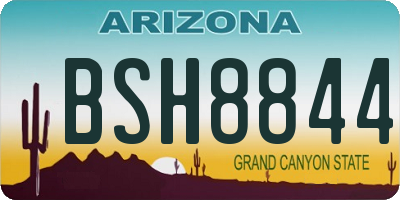 AZ license plate BSH8844