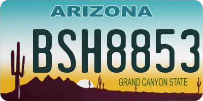 AZ license plate BSH8853