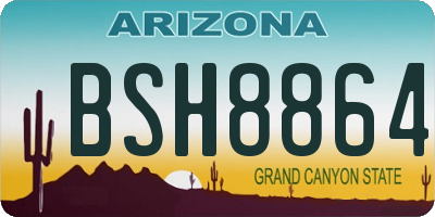 AZ license plate BSH8864