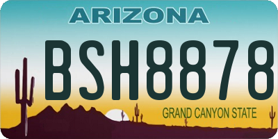 AZ license plate BSH8878