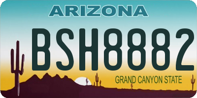 AZ license plate BSH8882