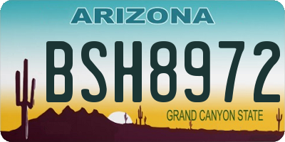 AZ license plate BSH8972