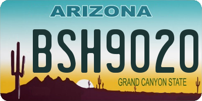AZ license plate BSH9020