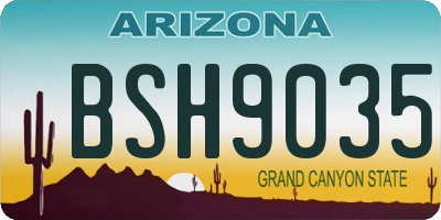 AZ license plate BSH9035