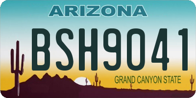 AZ license plate BSH9041