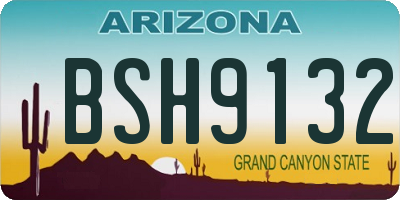 AZ license plate BSH9132